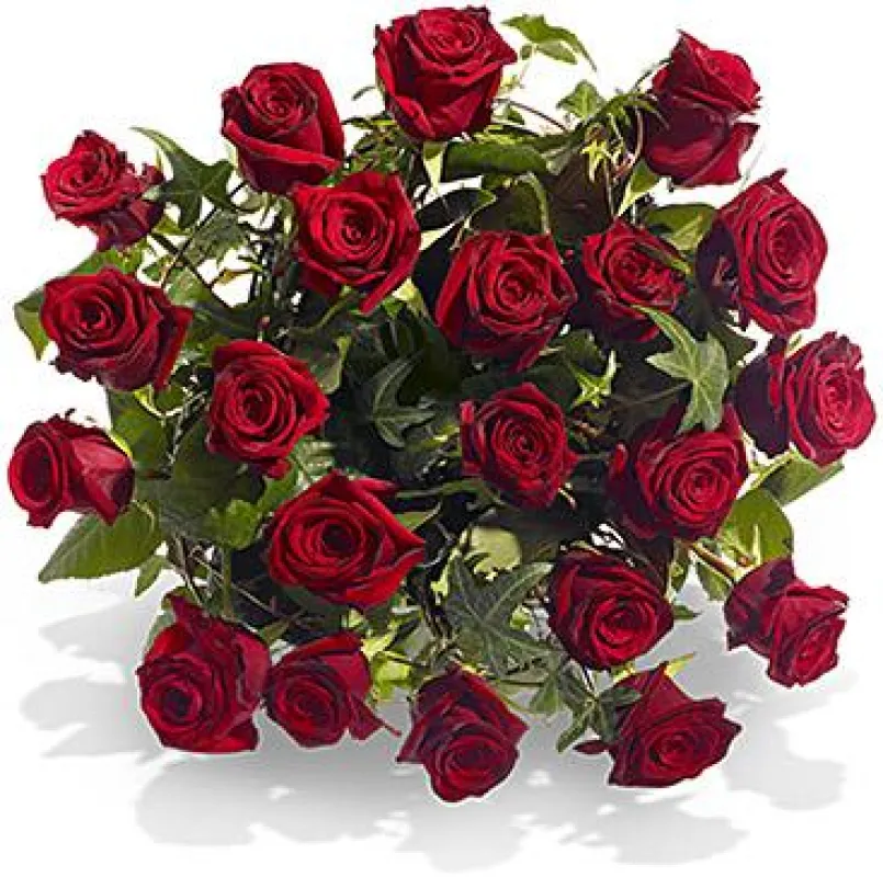 Rote Rosen - der Klassiker zum Valentinstag