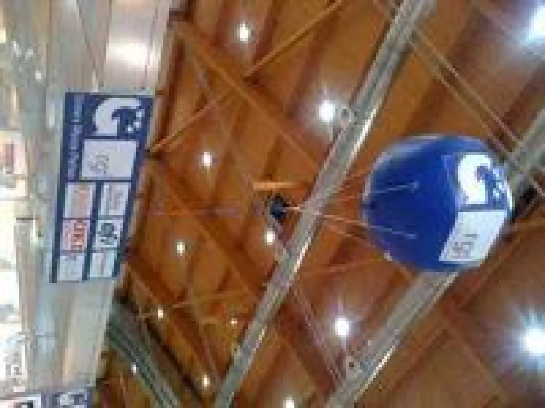 Wegweiser »RGF-Messeballon« ? leicht zu finden auf Druck+Form, Print Fair und Viscom.