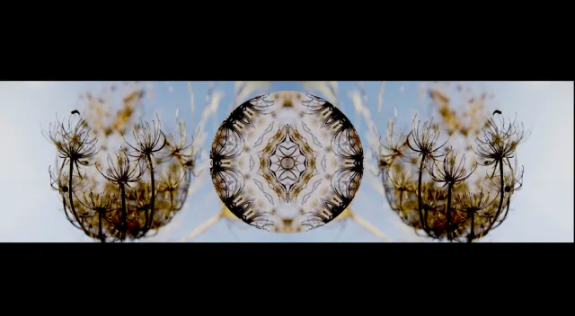 Bild:  THE GARDEN von Theo Eshetu - Eine immersive Bildwelt zwischen Natur und Wahrnehmung