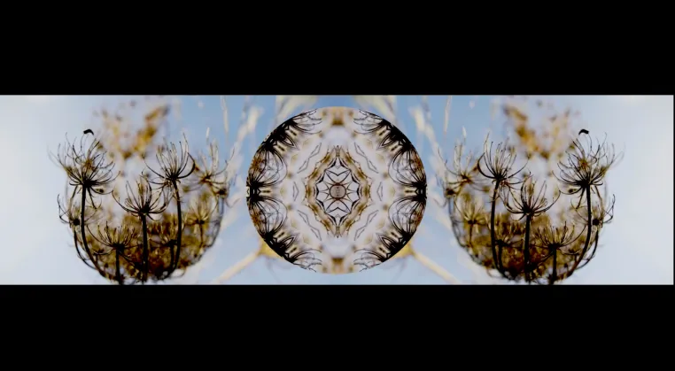 THE GARDEN von Theo Eshetu - Eine immersive Bildwelt zwischen Natur und Wahrnehmung Bild: THE GARDEN von Theo Eshetu - Eine immersive Bildwelt zwischen Natur und Wahrnehmung