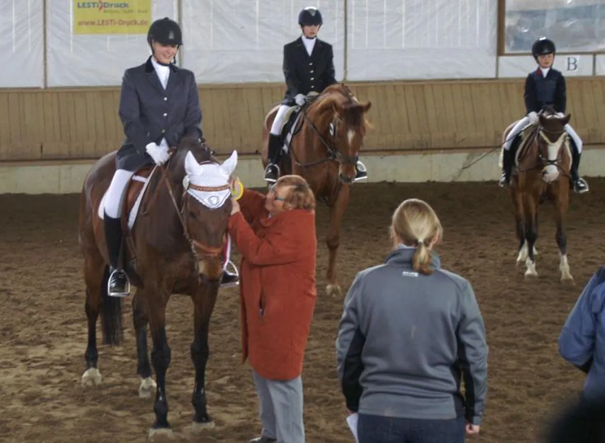 Beim Reiterwettbewerb können vor allem Kinder & Jugendliche erste Turniererfahrungen sammeln.