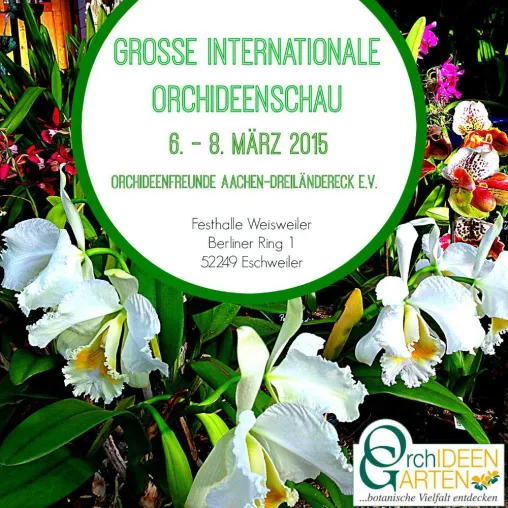 Grosse Internationale Orchideenschau der Orchideenfreunde Aachen-Dreiländereck e.V. Bild: Grosse Internationale Orchideenschau der Orchideenfreunde Aachen-Dreiländereck e.V.