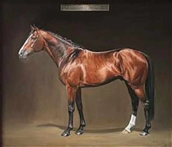 Bild: Klassische Pferdemalerei aus neuem Blickwinkel