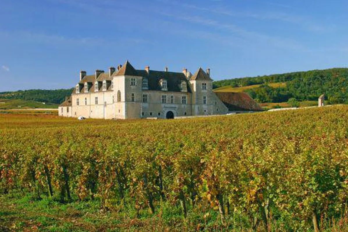 Wine-Stocks AG Clos de Vougeot Burgundy