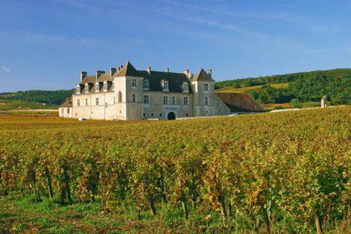 Bild: Wein als Wertanlage, Performance ohne Ende