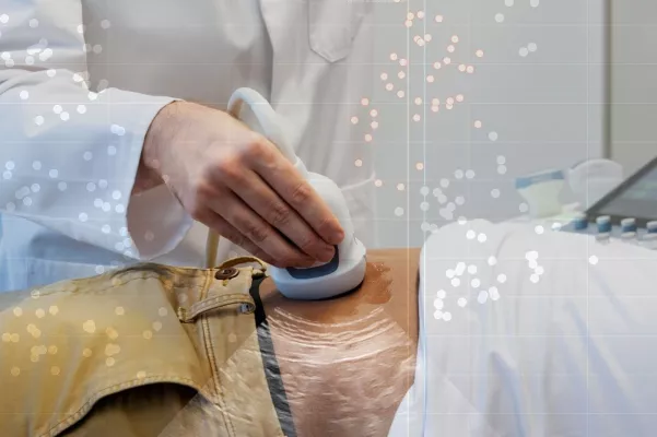 Bild: Fraunhofer-Cluster "Mobile Smart Echo" - KMU-Webinar: Mobile Ultraschallsysteme für medizinische Anwendungen