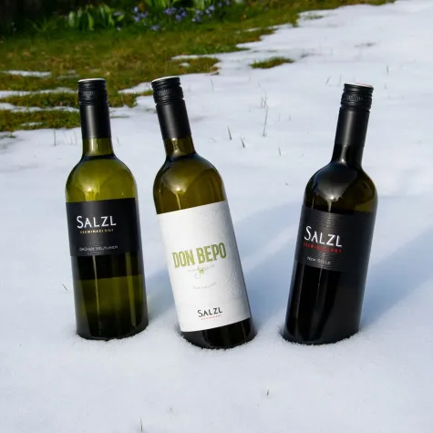 Bild: Kulinarischer Kurztrip zum Neusiedlersee: