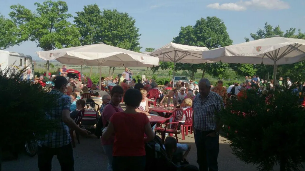Sommer-Matinee im Weinland Königsbach-Neustadt