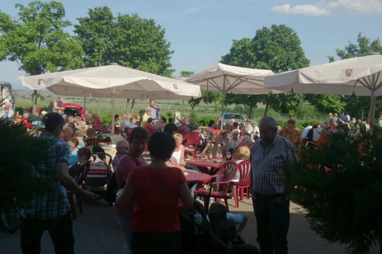 Bild: Sommer-Matinee im Weinland Königsbach-Neustadt