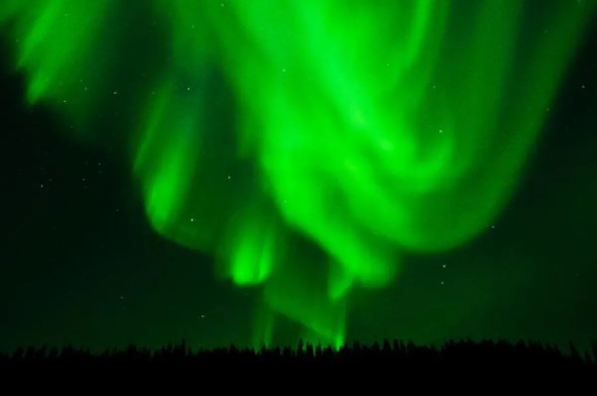 Aurora Borealis im Wood Buffalo Nationalpark (Bildnachweis: Parks Canada / John David McKinnon