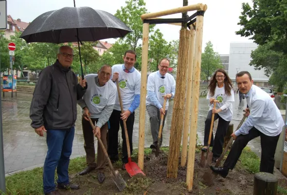 Zum PLANET 21 DAY: Mercure-Hotels, Novotel und ibis stiften der Stadt Nürnberg drei große Amberbäume Bild: Zum PLANET 21 DAY: Mercure-Hotels, Novotel und ibis stiften der Stadt Nürnberg drei große Amberbäume