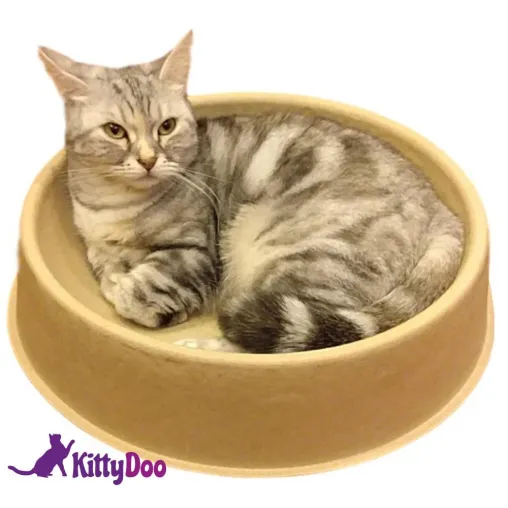 Bild: Von Katzen getestet - ein neues nachhaltiges Katzenbett aus Pappe begeistert die Katzenwelt