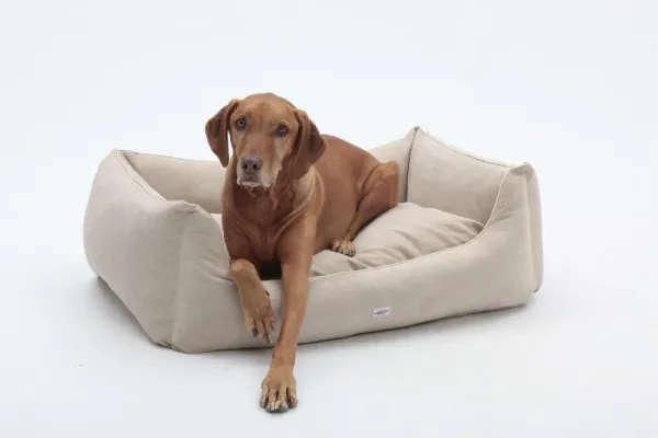 Bild: Weihnachtstrends für Hunde - das Box Bed Alcantara von Dogs in the City