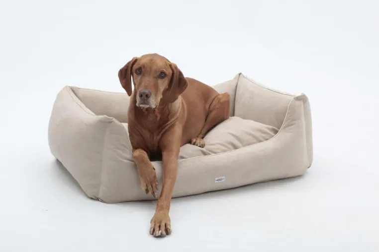 Bild: Weihnachtstrends für Hunde - das Box Bed Alcantara von Dogs in the City