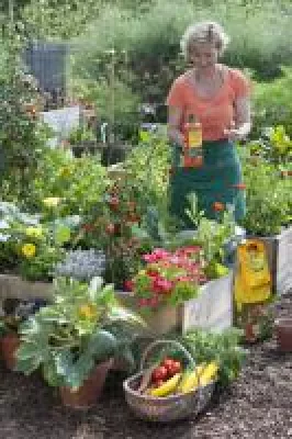 Bild: Stauden gestalten das ganze Gartenjahr - frux Staudenerde