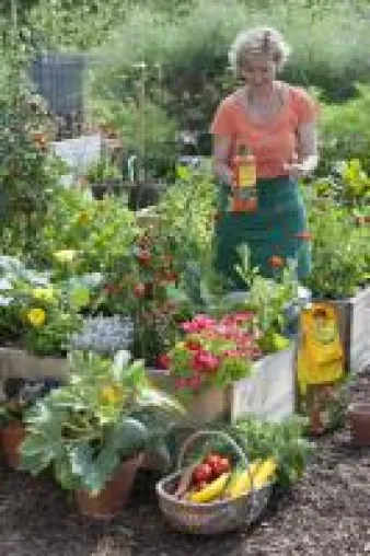 Bild: Stauden gestalten das ganze Gartenjahr - frux Staudenerde