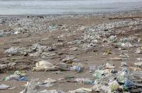 Bild: Plastikmüll und die Weltmeere - denke global, handle lokal