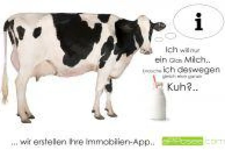 Bild: Apps haben bei mobilen Nutzern die Nase vorn