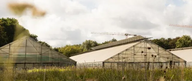 Bild: Die nächste Stadtfarm kommt! Crowdfunding-Kampagne führt zu Standortgesprächen in ganz Deutschland