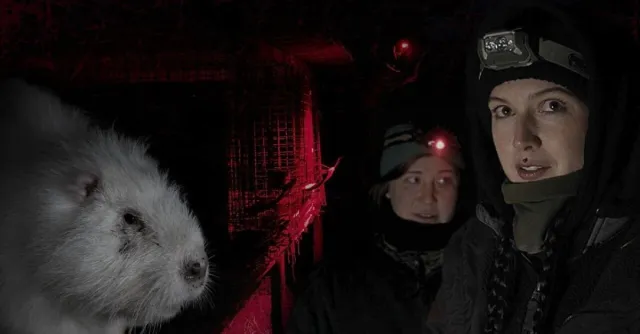 Bild: ANINOVA und Moderatorin Victoria Müller decken Tierquälerei auf polnischer Nutria-Pelzfarm 