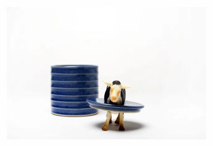 Bild: KUNST.HAND.WERK. 2018