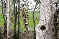 Bild: Galerie ARTKELCH zeigt: BUKU-LARRNGGAY MULKA - Gemälde und Skulpturen aus dem Top End Australiens