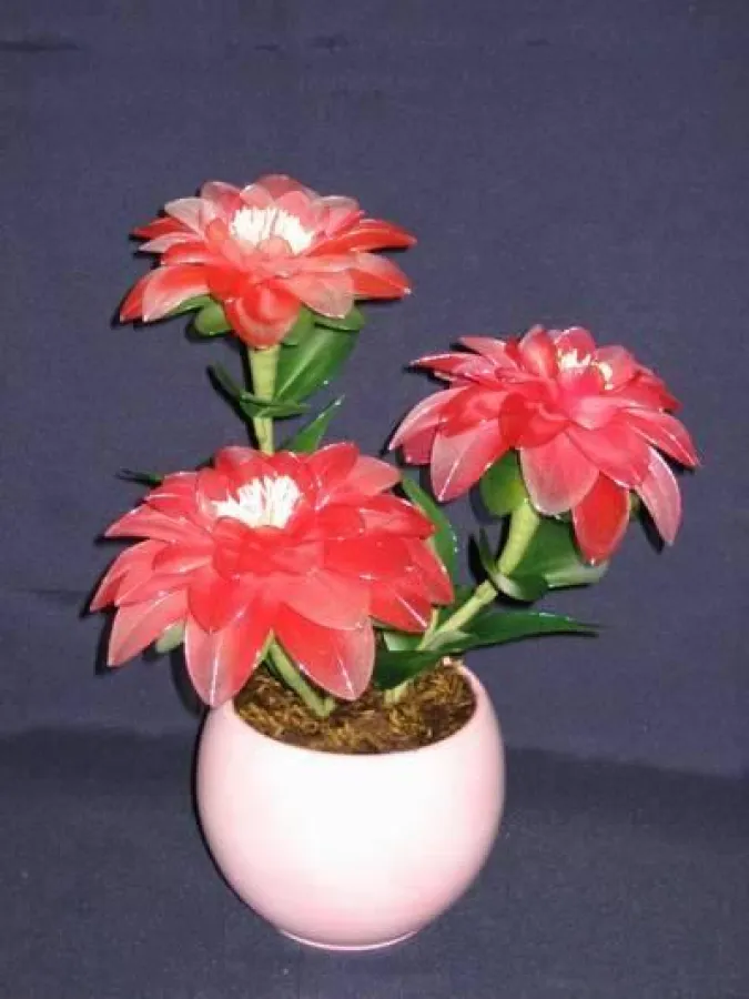Egal ob im Topf, im Glas oder einen einzelne Blumen: Blumen aus Thailand sind immer schön
