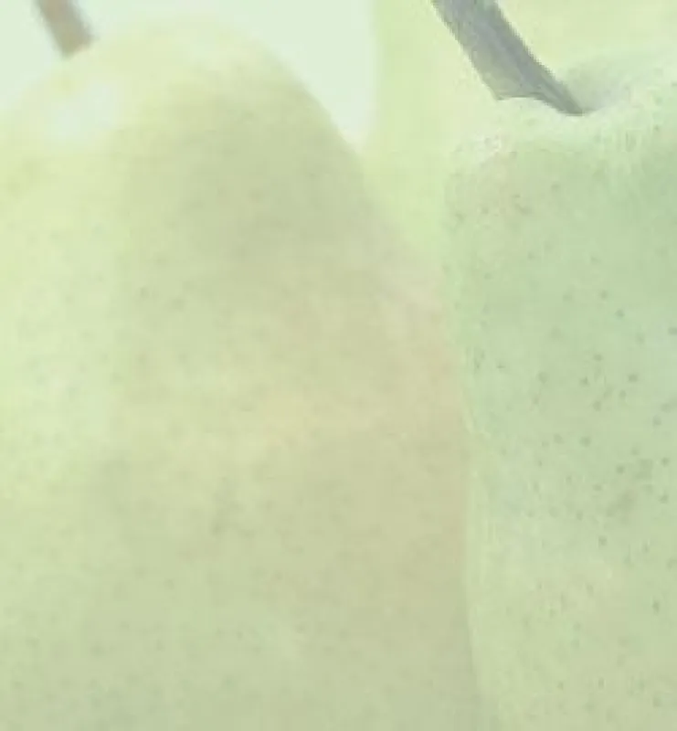 Lecker und leicht durch den Frühling