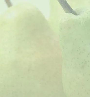Bild: Lecker und leicht durch den Frühling
