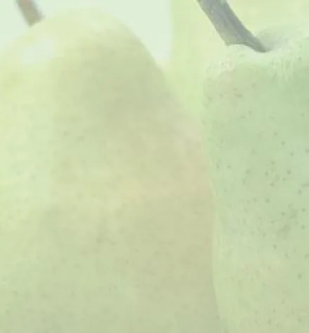 Lecker und leicht durch den Frühling Bild: Lecker und leicht durch den Frühling