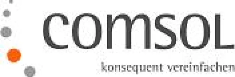 Bild: Comsol Unternehmenslösungen AG erwandert Charity-Meilen - Teilnehmer des 2. Bewegungstages spenden für einen guten Zweck