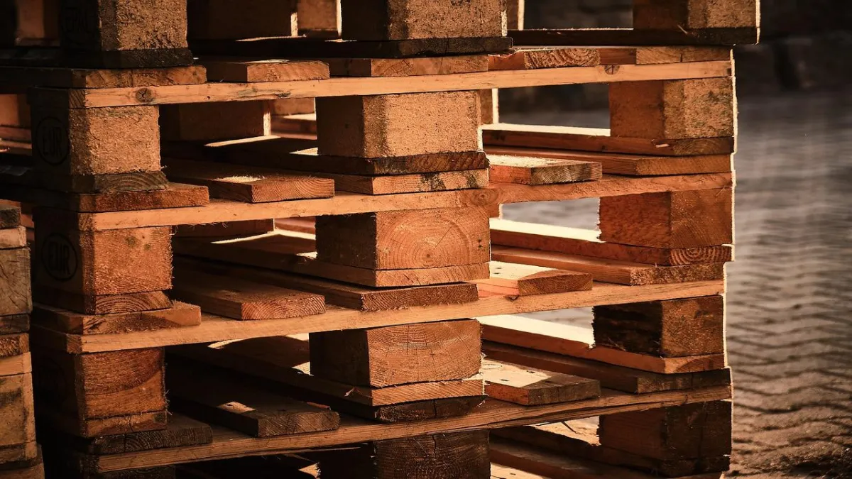 Trans-O-Flex mustert Holzpalette aus © Pixabay