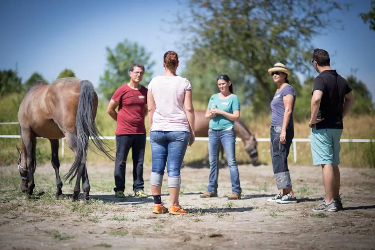 Seminarteilnehmer bei einer Feedback Runde