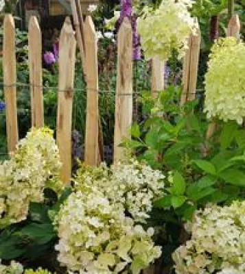 Bild: Staketenzaun aus Akazienholz - extreme Haltbarkeit und schöne Maserung