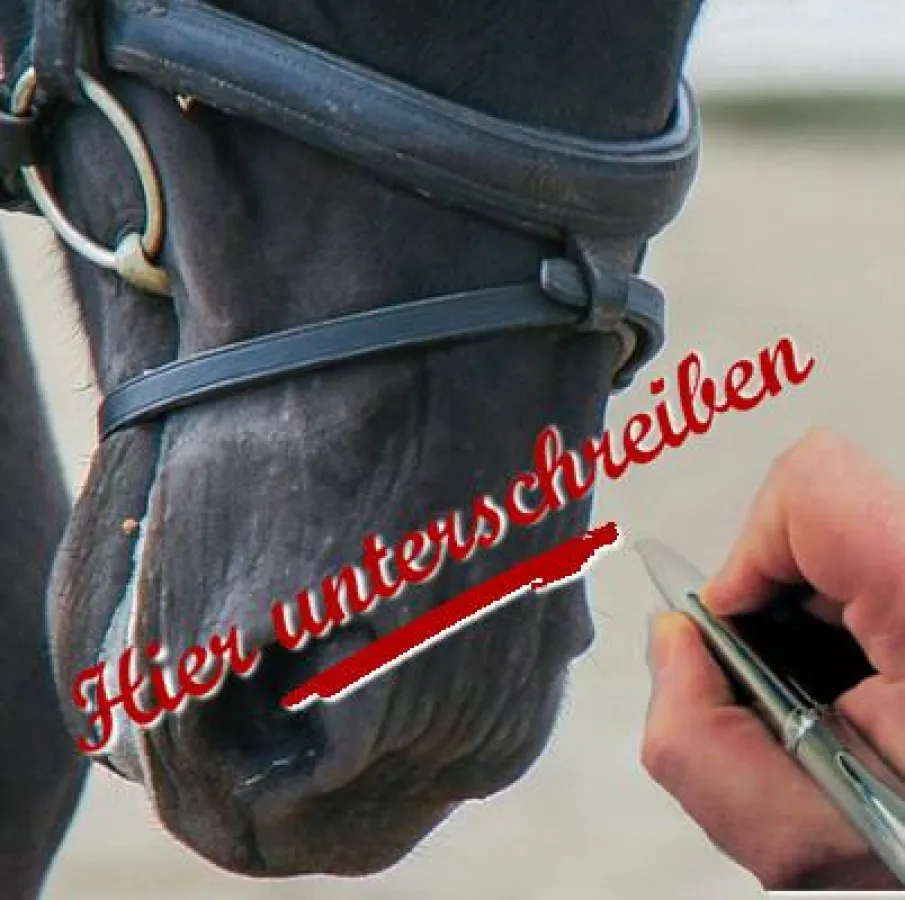Pferd mit Sperrriemen - das Bild zur Petition