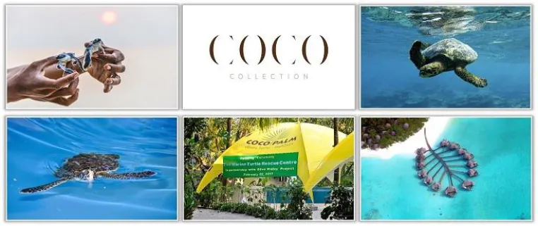 Coco Palm Dhuni Kolhu - Eröffnung des ersten Schildkrötenrettungszentrums auf den Malediven Bild: Coco Palm Dhuni Kolhu - Eröffnung des ersten Schildkrötenrettungszentrums auf den Malediven