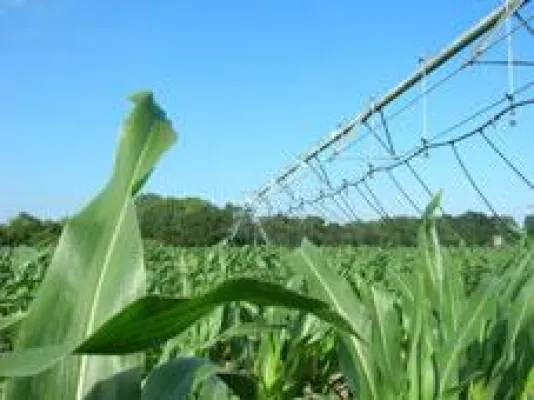 Perfekte Beregnung hilft sparen Bild: Perfekte Beregnung hilft sparen