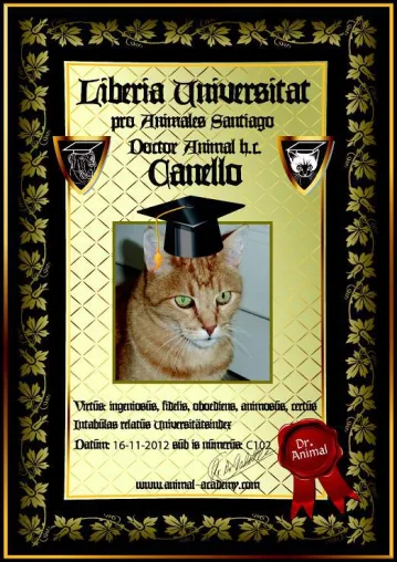 Bild: Das ungewöhnliche Weihnachtsgeschenk für Tierliebhaber: Doktor-Titel für Hund und Katz