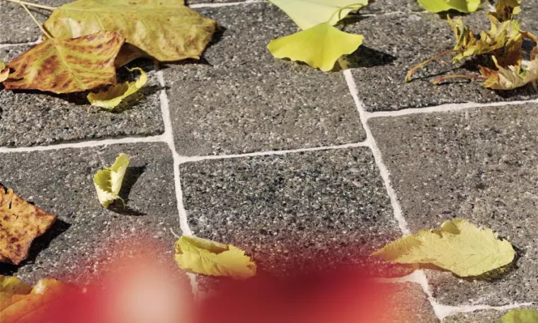 Bild: Qualitätsprüfung für Pflasterbeschichtung: „Alles, was über hanseclean berichtet wird, stimmt“