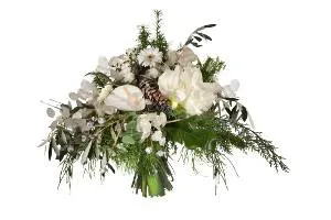Florales Winterwunderland mit Fleurops Jungen Wilden Bild: Florales Winterwunderland mit Fleurops Jungen Wilden