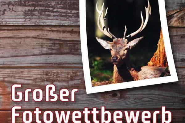 Bild: Winterschlaf ade abenteuerliche Erlebnisse für die ganze Familie