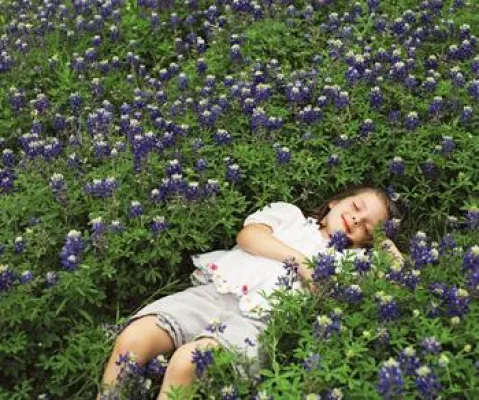 Bild: So sieht Glück aus - Colibri Research ist mit Colibri Collection dem Glück auf der Spur