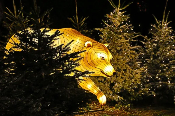 Bild: Mit Lichter-Show und Weihnachtsbäckerei: Karls startet in Erlebnis-Winter
