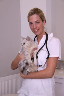 Bild: Wenn die Katze nach dem Freigang mit Blessuren zurück kommt
