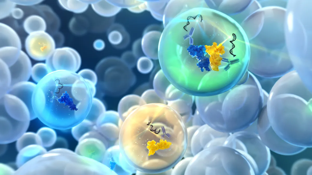 Visualisierung der Interaktion von Biomoleküle in tausenden von Mikrotropfen, wie sie Actome nutzt (© Actome GmbH)