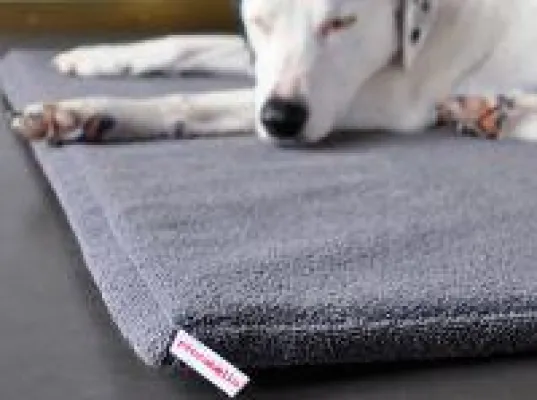 Bild: Gelenkschonend und hygienisch: das neue orthopädische Hundebett von piccobello