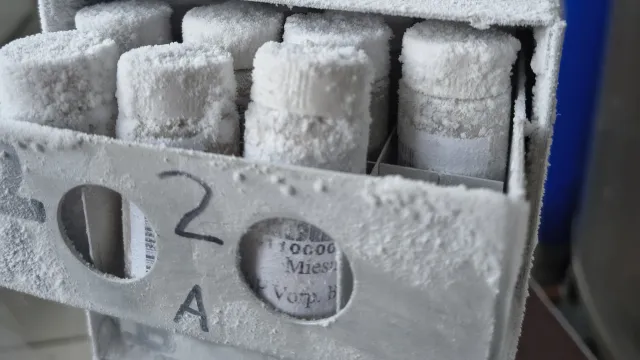 Bild: Artenvielfalt in Deutschland nur lokal stabil