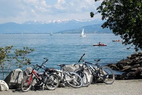 Radlerparadies Bodensee Bild: Radlerparadies Bodensee