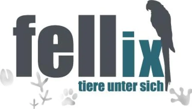 Bild: fellix als soziales Netzwerk nur für Tiere gestartet