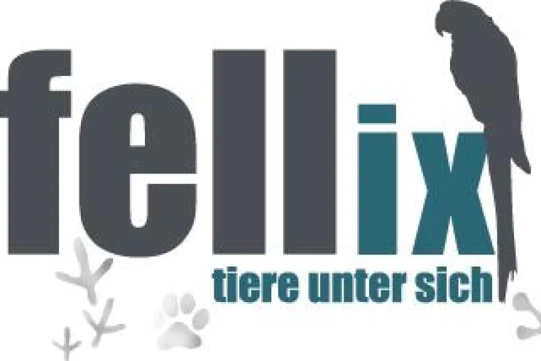 Bild: fellix als soziales Netzwerk nur für Tiere gestartet